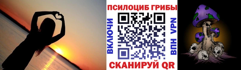 Галлюциногенные грибы мухоморы  купить наркоту  МЕГА tor  Богородск 