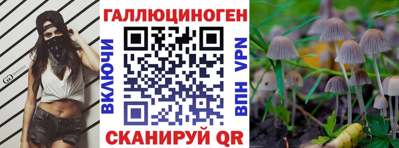 Галлюциногенные грибы Psilocybine cubensis Богородск